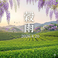 画像323