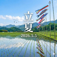 画像325