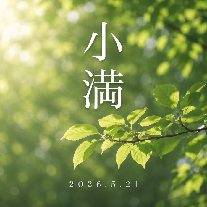 画像332