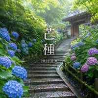 画像348