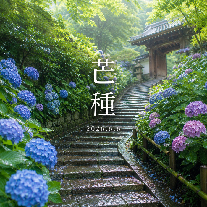 画像348