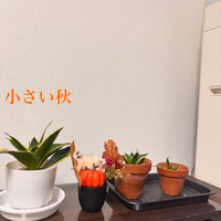 画像443