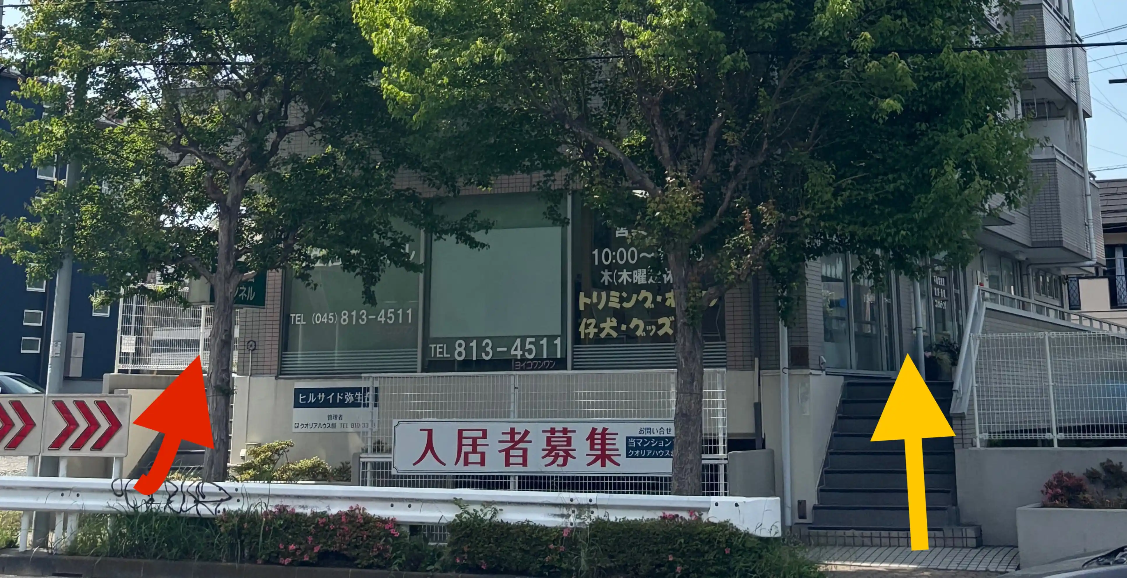 05b5554a-53a2-4931-a081-4bee34a3e482
